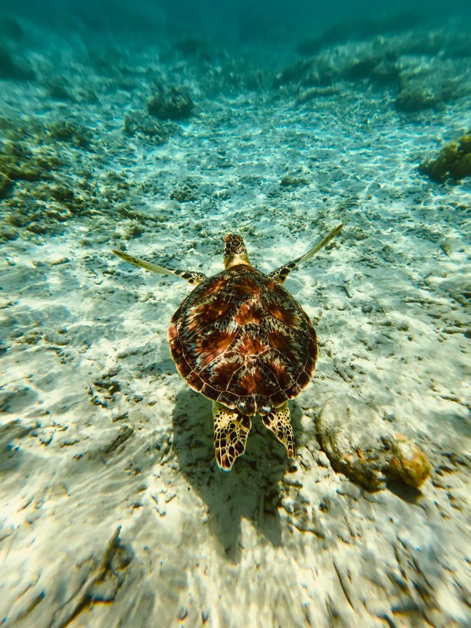 Gili T — photo 3 of 5