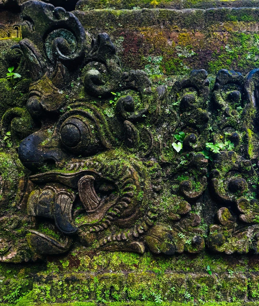 Ubud — photo 1 of 8