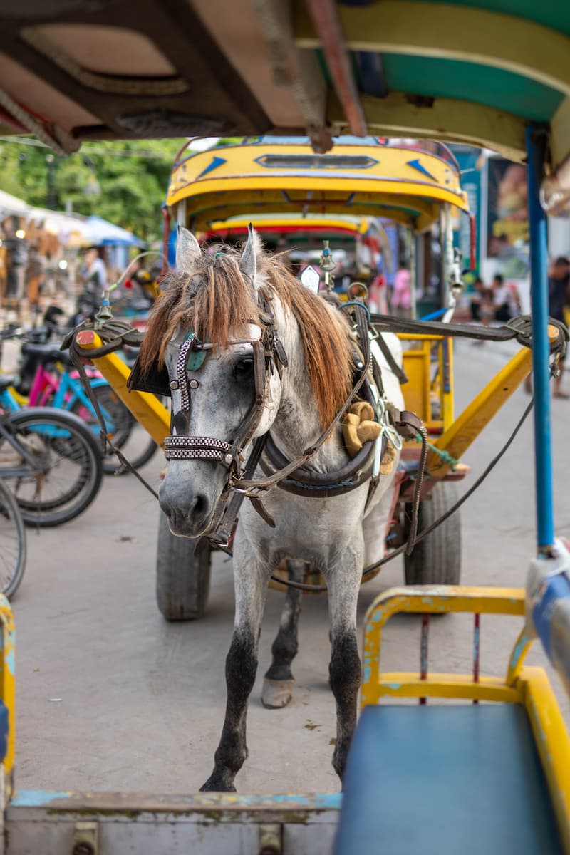 Gili