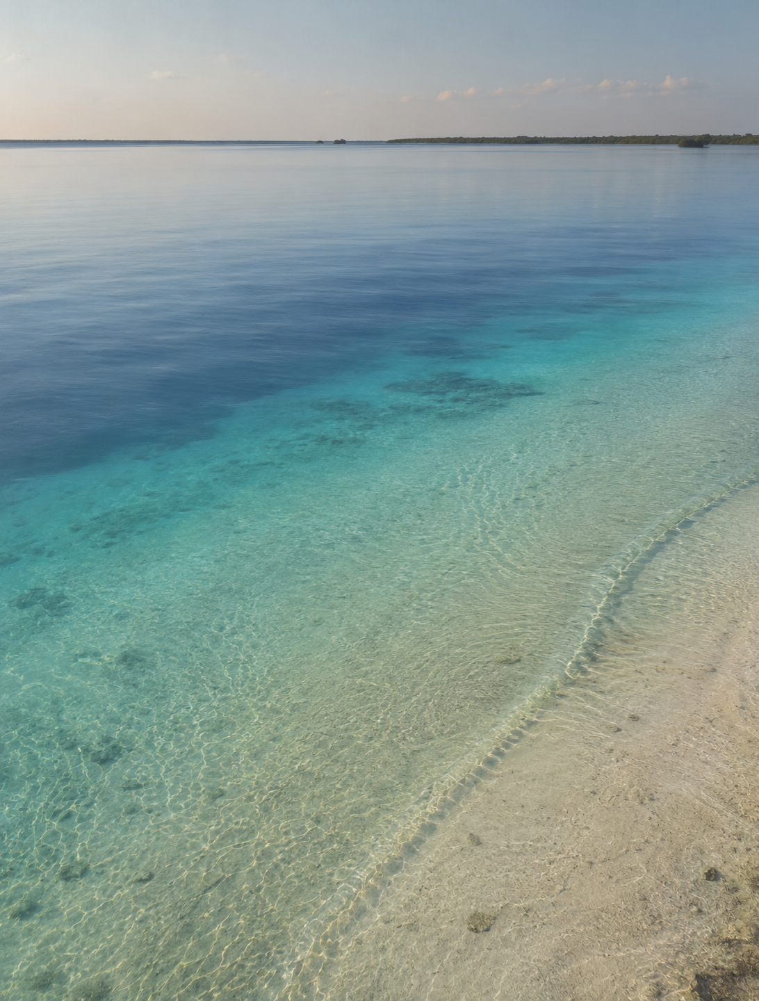 Bacalar